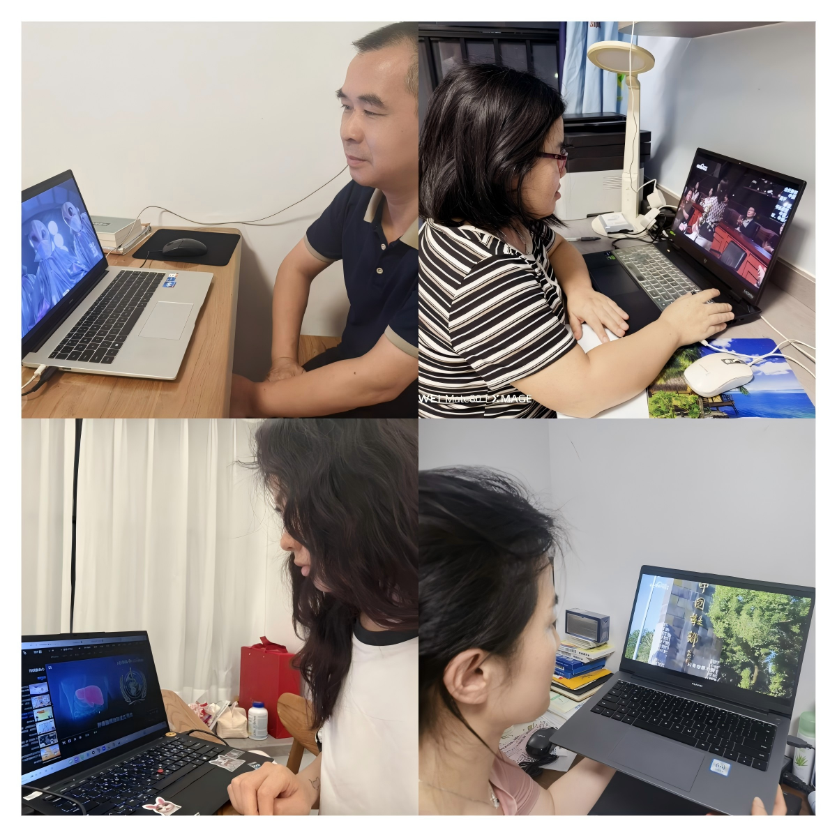 观看科普视频拼图2.png
